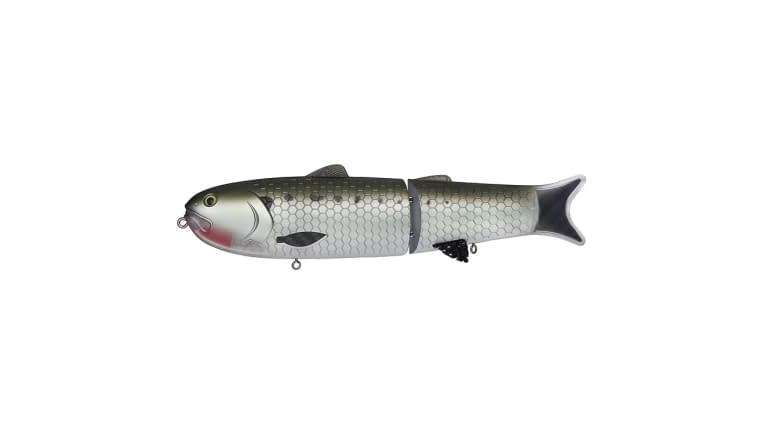 https://www.fishermanswarehouse.com/cache/images/product_full_16x9/mfiles/product/image/american_shad_copy.63a1e4cc56049.jpg