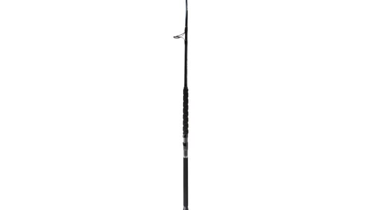 Phenix Axis Spinning Rods