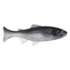 Anglers King Sugar Shaker Trout - Style: 083