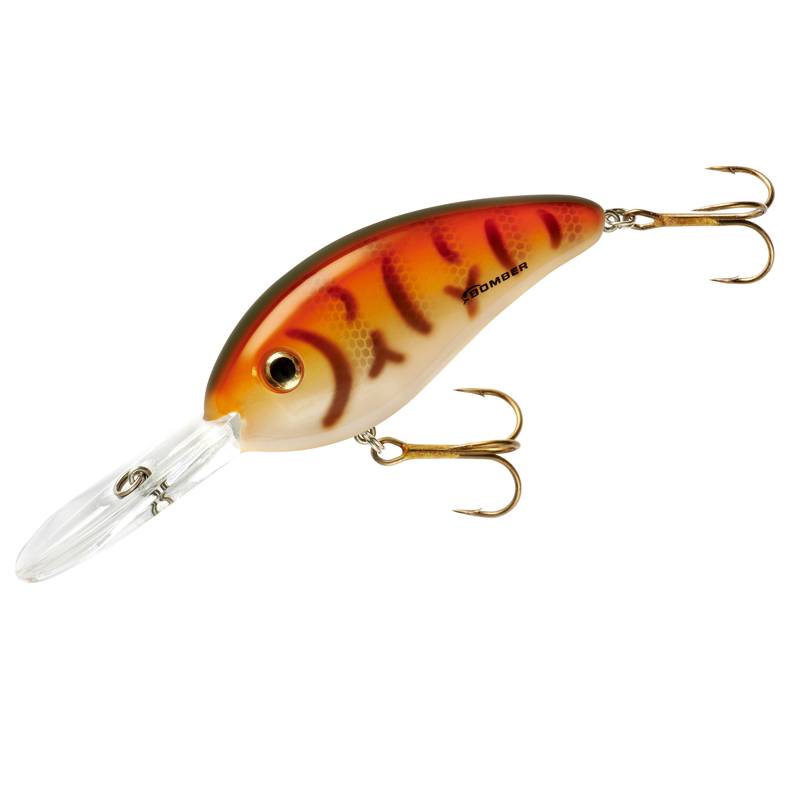  Bomber Fat Free Shad Fishing Lures (Grape Shad, 3-Inch) :  Fishing Topwater Lures And Crankbaits : Sports & Outdoors
