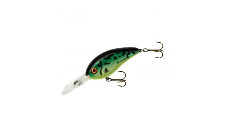 Bomber Fat Free Shad Jr. - FT