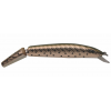 P-Line Angry Eye Predator Shallow Diving - Style: 12